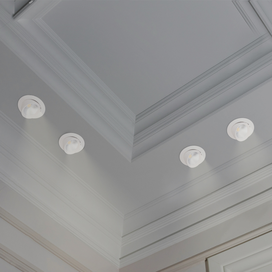 SPOT LED A ENCASTRER ROND ORIENTABLE COB 220V 40W 6500K