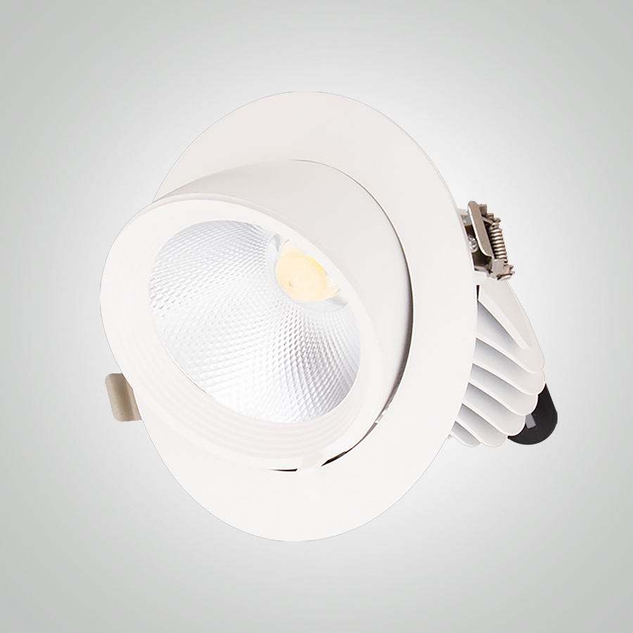 SPOT LED A ENCASTRER ROND ORIENTABLE COB 220V 40W 6500K