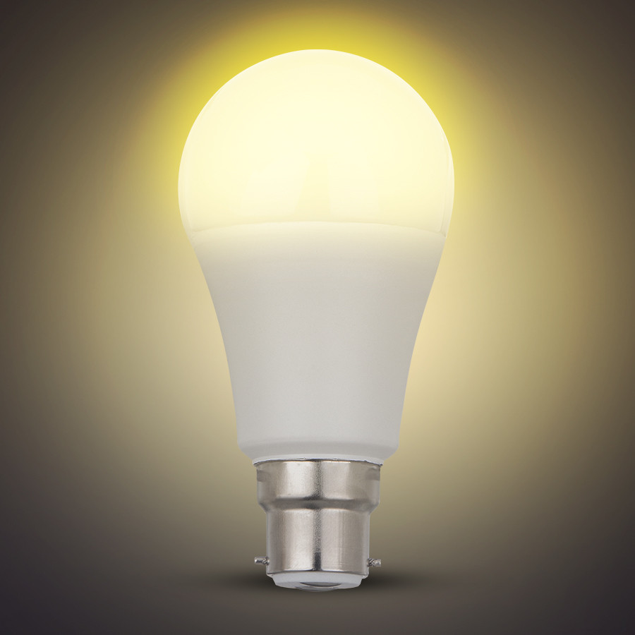 LAMPE LED SMD OPAQUE A65 B22 220V